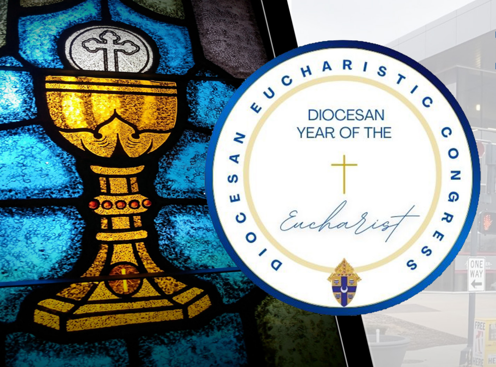You are invited to a historical diocesan-wide celebration and Mass at the BOS Center in Springfield