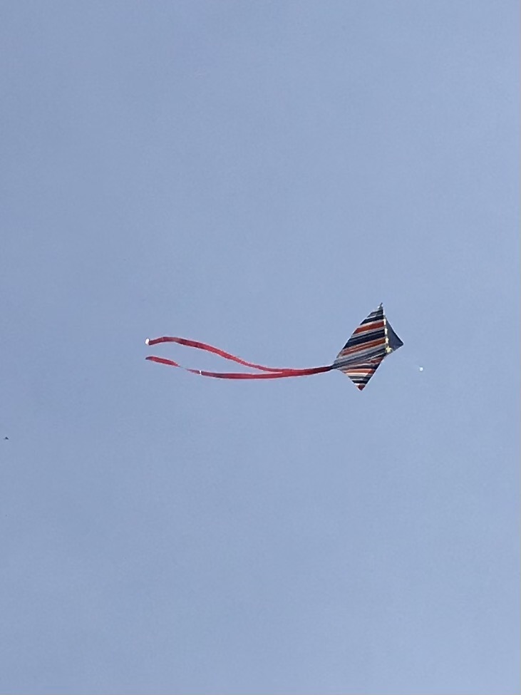kite flying.