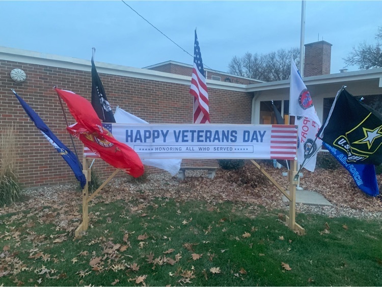 Veterans Day Flags Display
